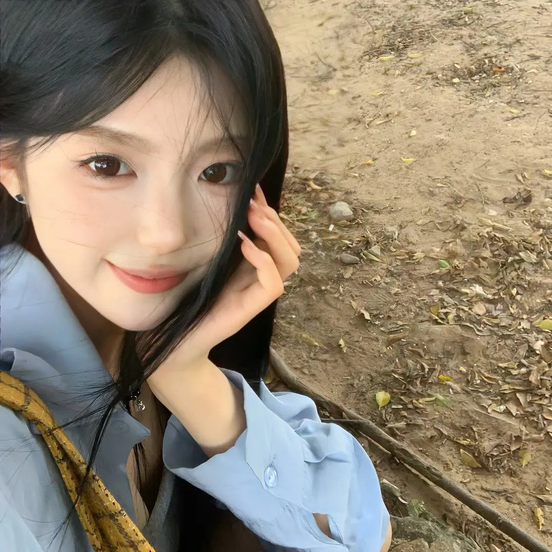 老木的秘密